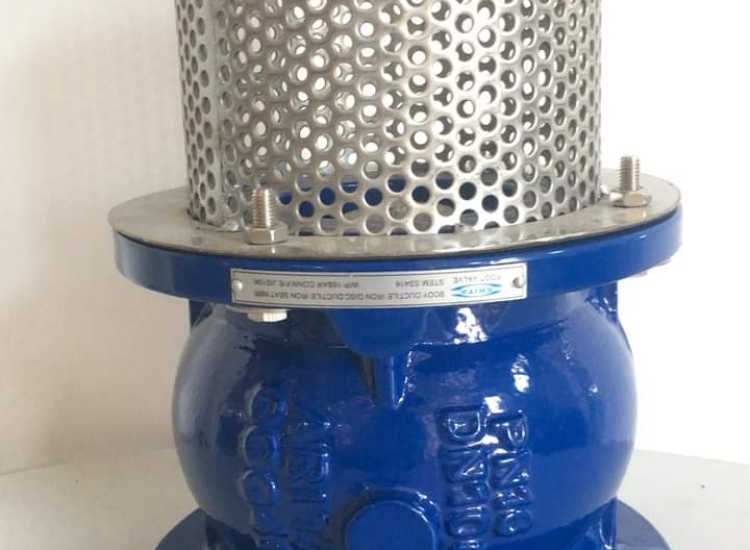 VAN CHÂN GANG | ARITA | AFV-FE | DN50-DN300/ARITA-DI-FOOT-VALVE-PN16-AFV-FE