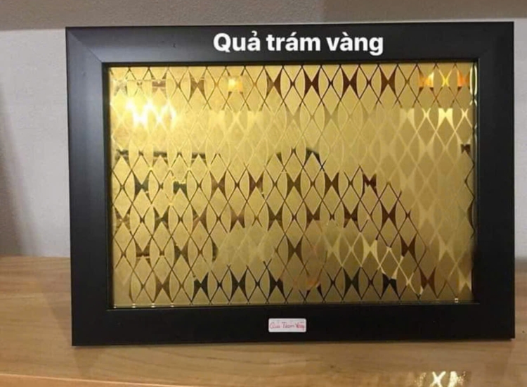 TẤM INOX HOA VĂN QUẢ TRÁM