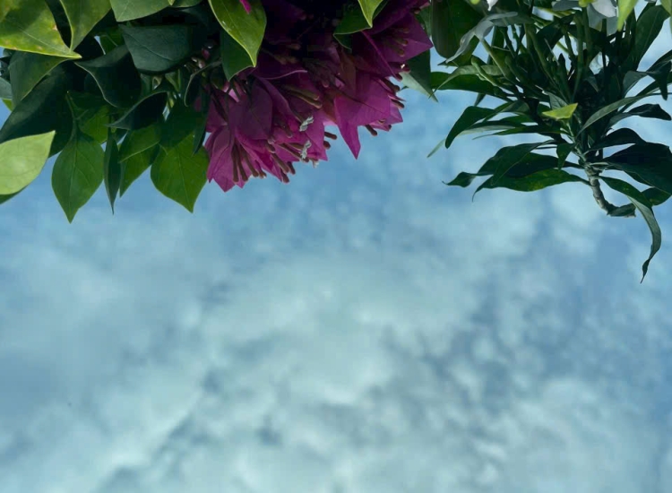 TẤM INOX GƯƠNG MÀU XANH NƯỚC BIỂN 8K|PVD Ocean Blue 8K